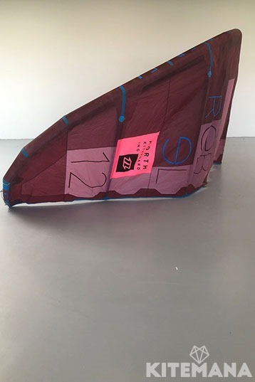 Duotone Kiteboarding-Rebel 2018 Kite (2nd)