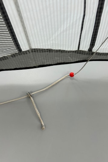 Naish-Pivot NVision 2024 Kite (DEMO)